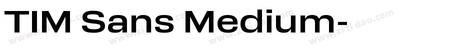 TIM Sans Medium字体转换